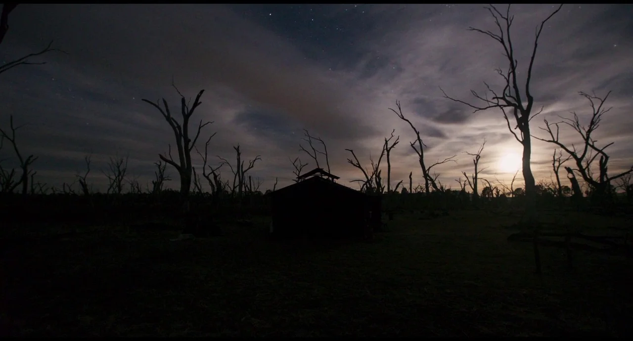 True History of the Kelly Gang (2019) movie still: wide — A vast field populated by numerous leafless, skeletal trees under a starry night sky. A…
