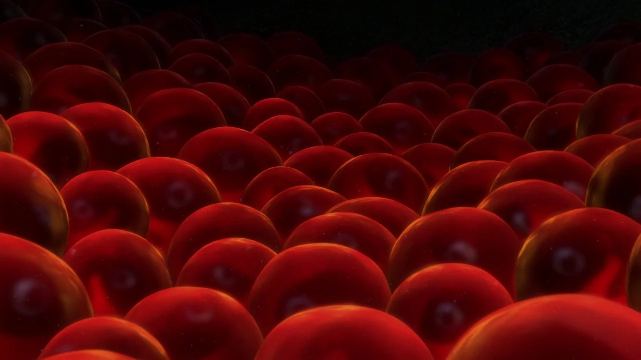 Finding Nemo (2003) movie still: establishing — A field of uniform, glossy red spherical objects fills the entire frame. The spheres are arranged in…