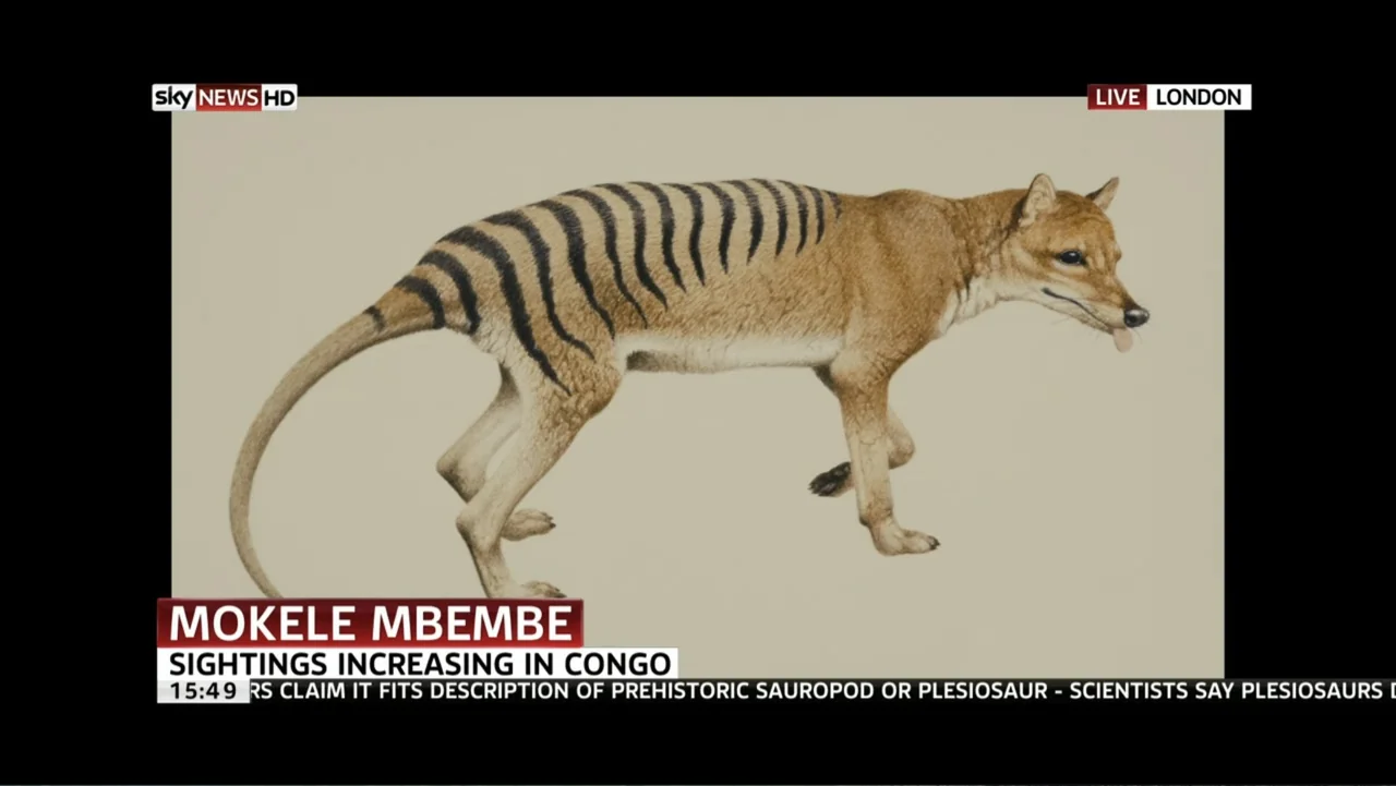 The Dinosaur Project (2012) movie still: medium — A television news graphic shows an illustration of a thylacine on a cream background. The overlay…