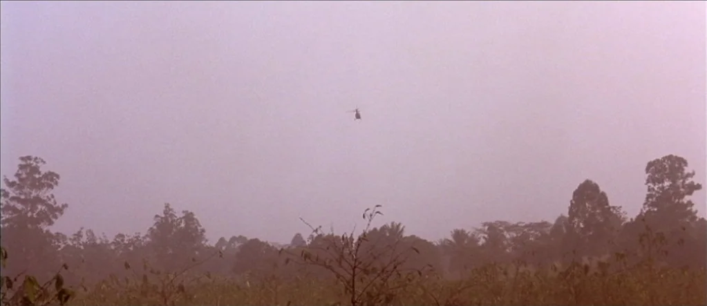 White Material (2009) movie still: establishing — A wide, foggy landscape features a line of distant trees beneath an overcast sky. A small, dark…