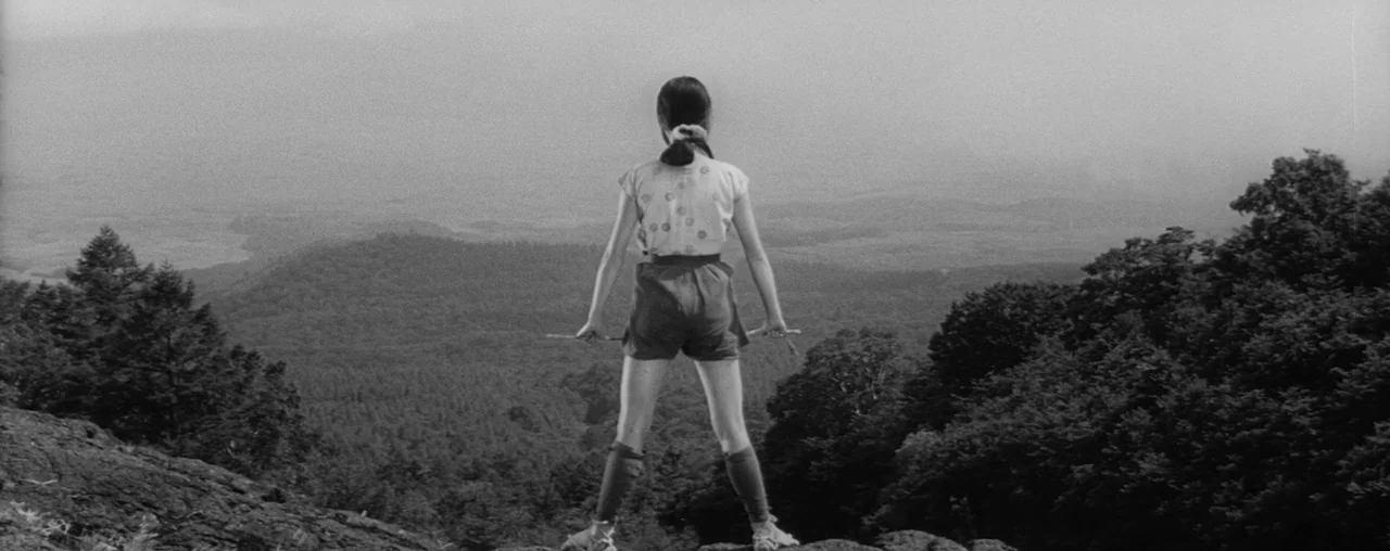 The Hidden Fortress (1958) movie still: fullbody — A high vantage point overlooking a vast, forested mountain valley under an overcast sky. A young…