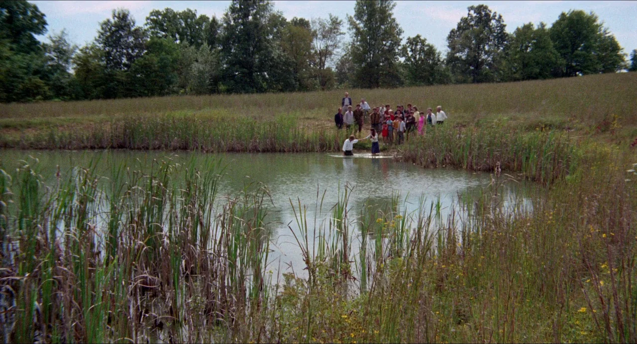 Medium Cool (1969) movie still: wide — A grassy meadow slopes down to a small pond lined with tall reeds. A group of people stands on the bank…