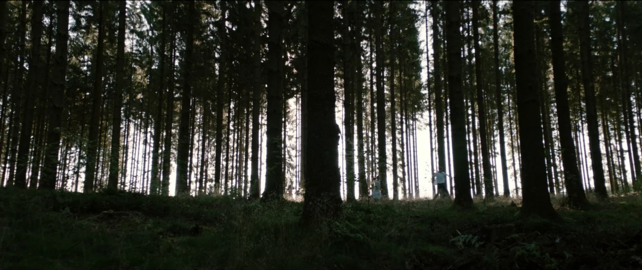Good Favour (2017) movie still: wide — A dense coniferous forest features closely spaced tall tree trunks against a bright backdrop. Two small human…