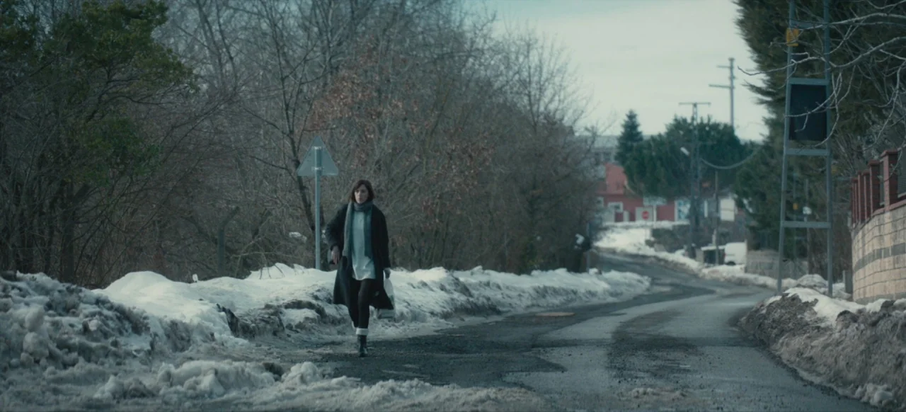 Housewife (2017) movie still: wide — A rural paved road is flanked by bare trees and piled mounds of dirty snow. A woman in winter clothing walks…