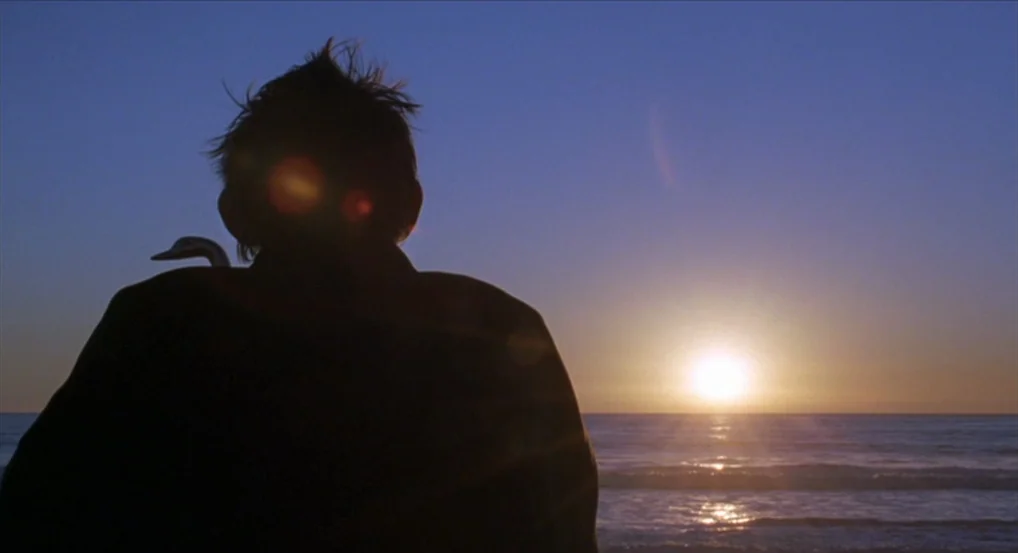 Brick (2005) movie still: medium — A dark, silhouetted figure stands in the foreground against a vast, open ocean scene. The sun is setting on the…