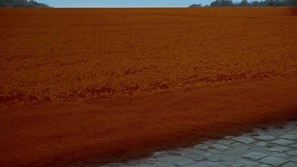 One Hundred and One Nights (1995) movie still: establishing — A vast, monochromatic orange agricultural field stretches toward a thin horizon line.…
