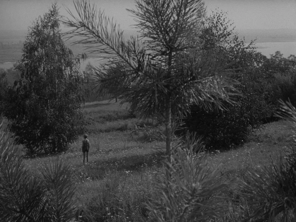 Ivan’s Childhood (1962) movie still: wide — A quiet, rural landscape featuring a young child positioned alone in an open meadow. The area is…