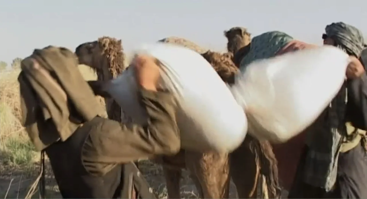 Afghanistan's Opium Trail (2007) movie still: medium — A dry, dusty landscape features two men laboring near a camel in the sun. The men hoist heavy…