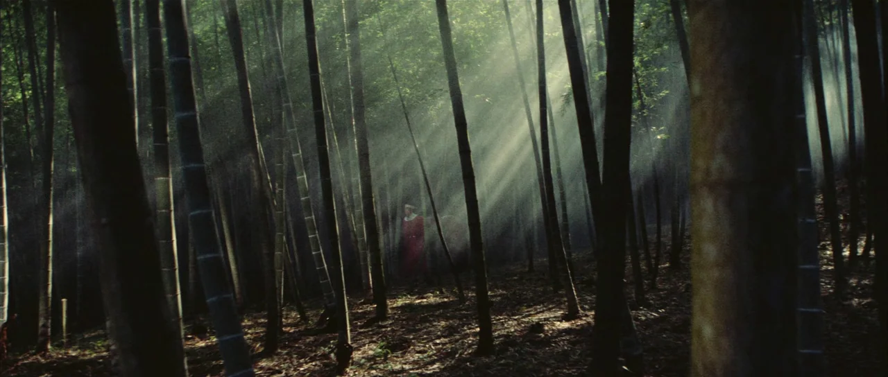 A Touch of Zen (1971) movie still: wide — A dense grove of vertical bamboo stalks stands in a hazy, leaf-covered forest floor. A woman in a solid…