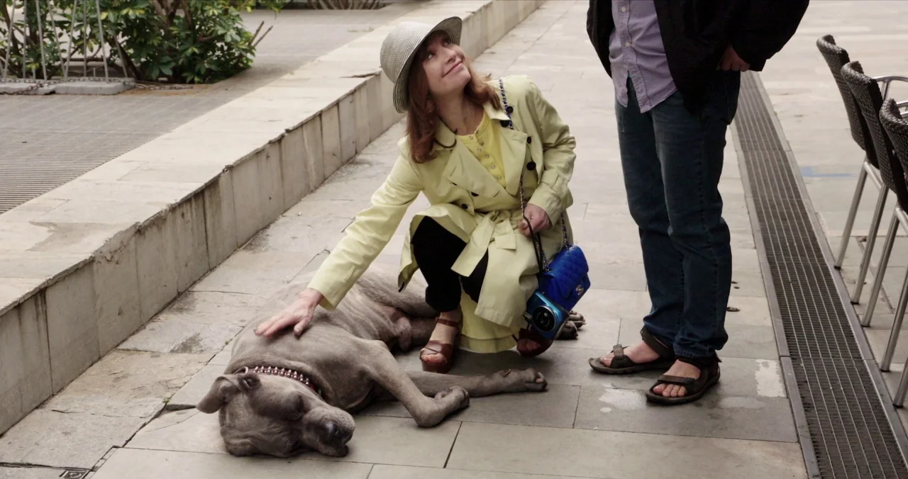 Claire’s Camera (2017) movie still: medium — A stone paved pedestrian walkway features a woman crouched near a large resting dog. She smiles while…