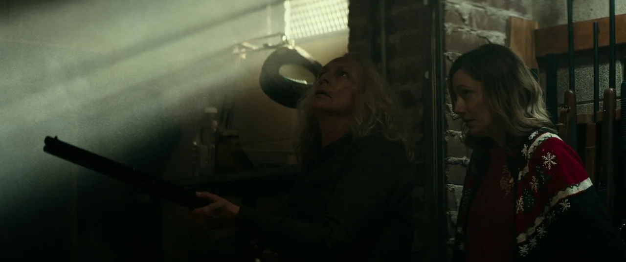 Halloween (2018) (2018) movie still: medium — A dimly lit, cluttered basement with brick walls and vertical racks of guns. Two women stand…