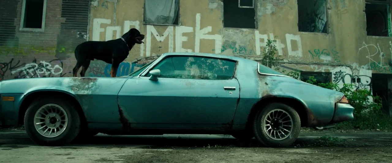 Don’t Breathe (2016) movie still: wide — A rusted blue coupe sits before a decrepit building covered in white graffiti tags. A large rottweiler dog…