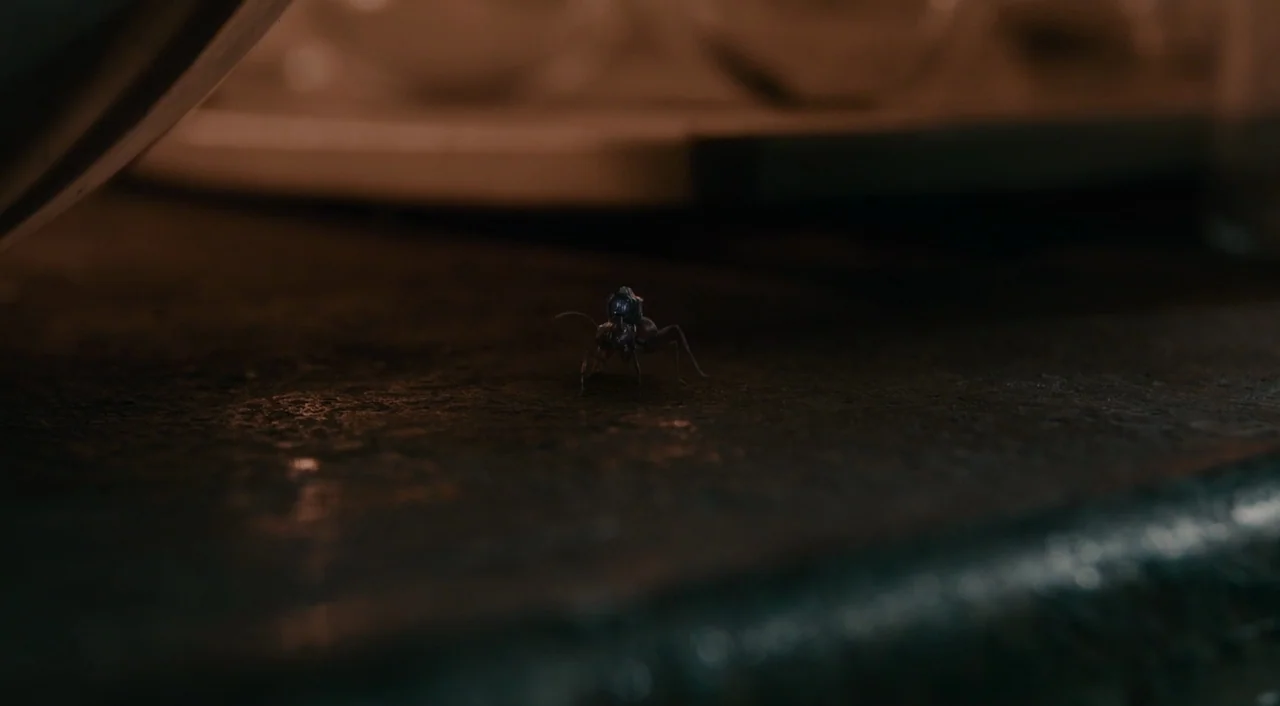 Ant-Man (2015) movie still: wide — An ant traverses a dark, textured asphalt surface in low lighting conditions. The ground is partially illuminated…