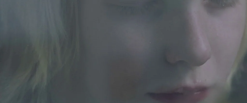 Let The Right One In (2008) movie still: closeup — A close-up view of a person's face submerged in murky water. The subject has closed eyes and…