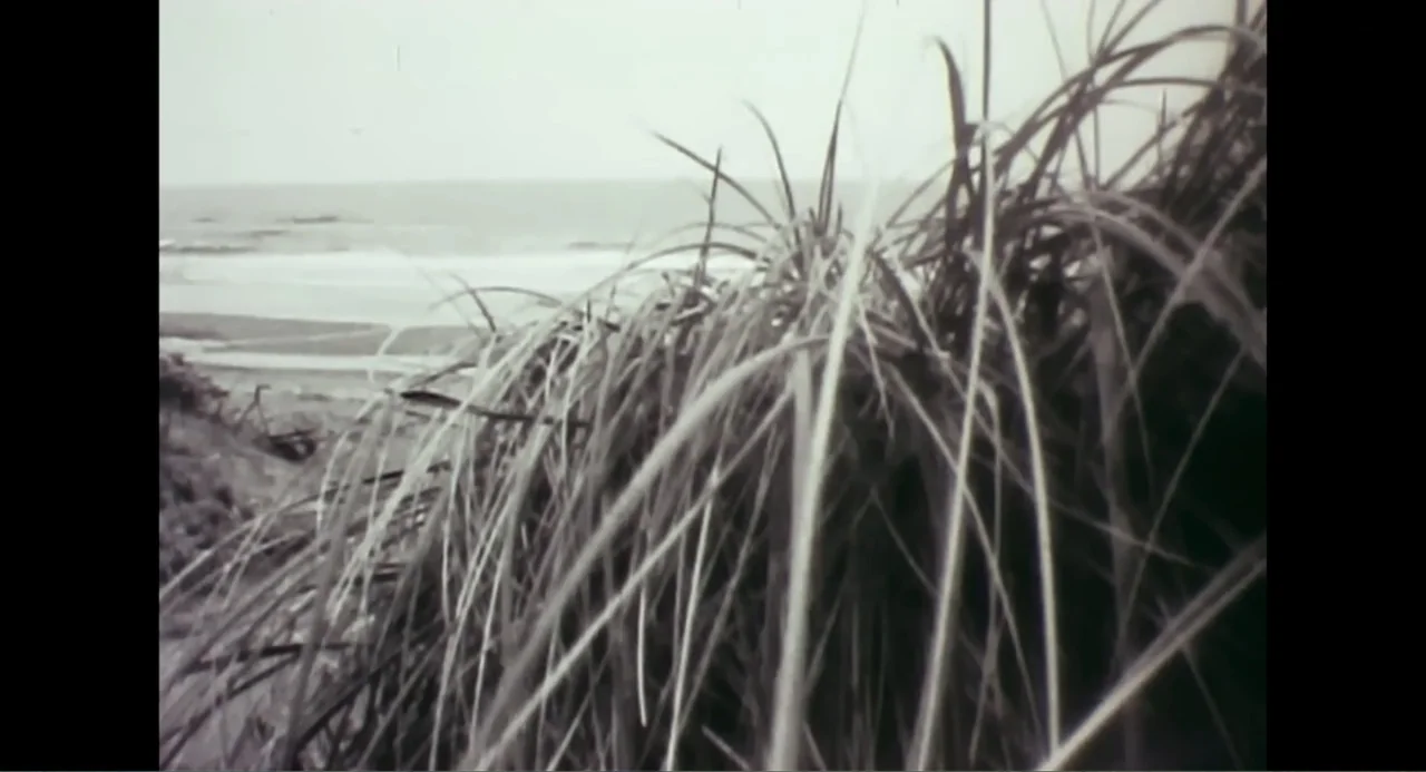 Free Chol Soo Lee (2022) movie still: wide — Clumps of tall dune grass occupy the foreground of a coastal landscape. A sandy beach and the ocean…