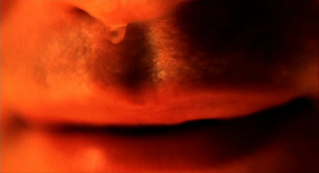 Summer of Sam (1999) movie still: closeup — An abstract, extreme close-up of human lips illuminated by deep orange light. The skin surface is…
