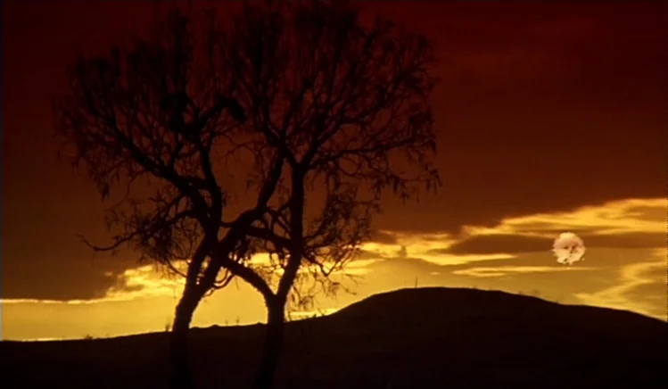 Walkabout (1971) movie still: wide — A dark, leafless tree stands in silhouette against a vibrant golden and orange sunset. A rolling hill occupies…