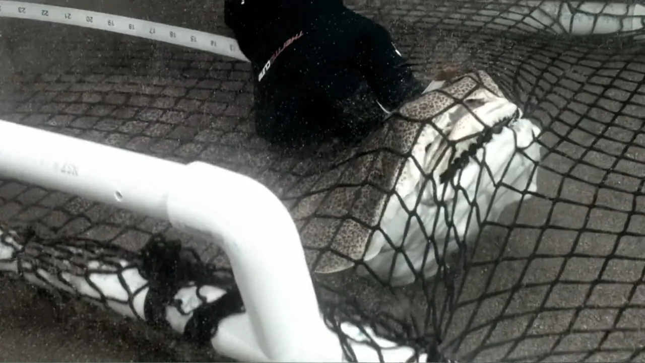 Alien Sharks: Ghosts of Japan (2024) movie still: closeup — A sandy seafloor is partially covered by a white PVC square research frame. A flat fish…