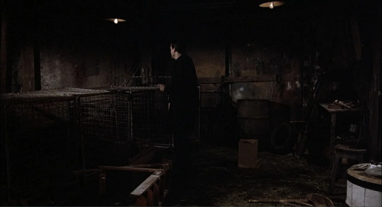 Gorky Park (1983) movie still: medium — A dim, dark barn interior contains several wire cages and scattered wooden debris on floor. A man in a dark…