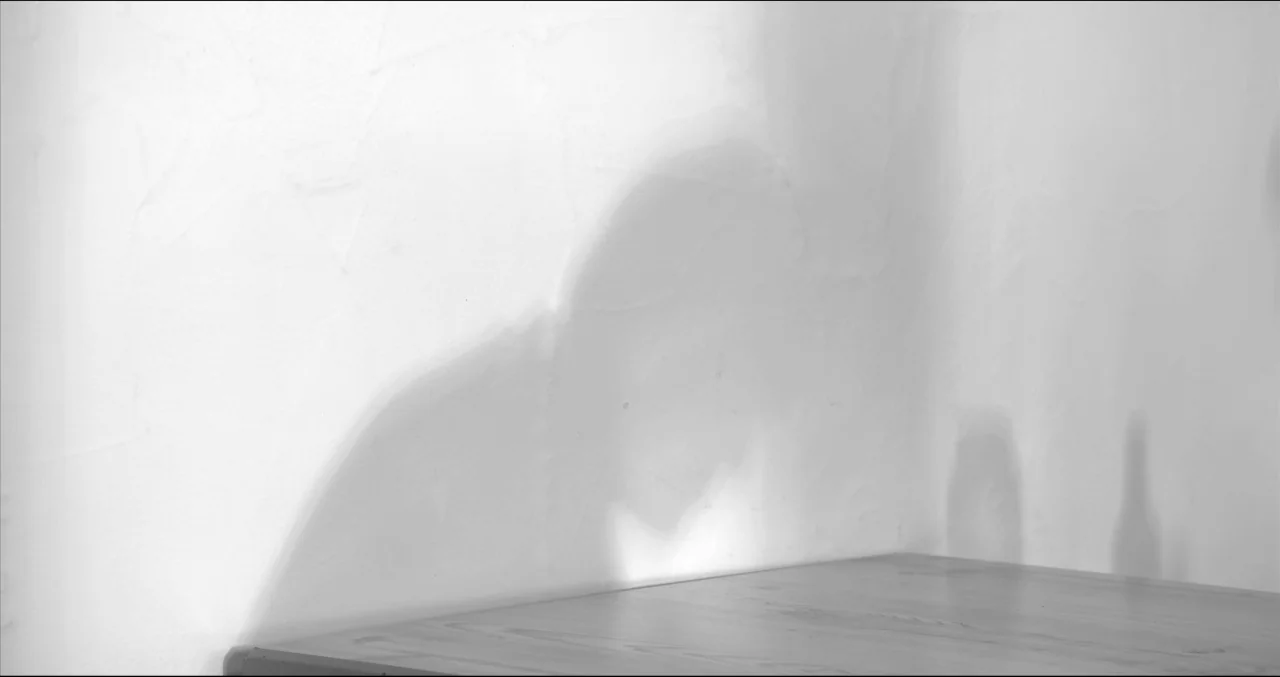 Grass (2018) movie still: medium — A plain white wall is punctuated by the projected shadow of a person. The edge of a wooden table sits in the…