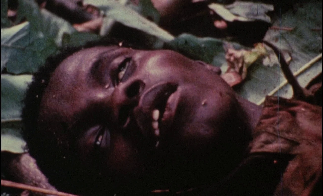 Sans Soleil (1983) movie still: closeup — A man lies on the damp earth covered in fallen green leaves. His face is positioned looking upward toward…