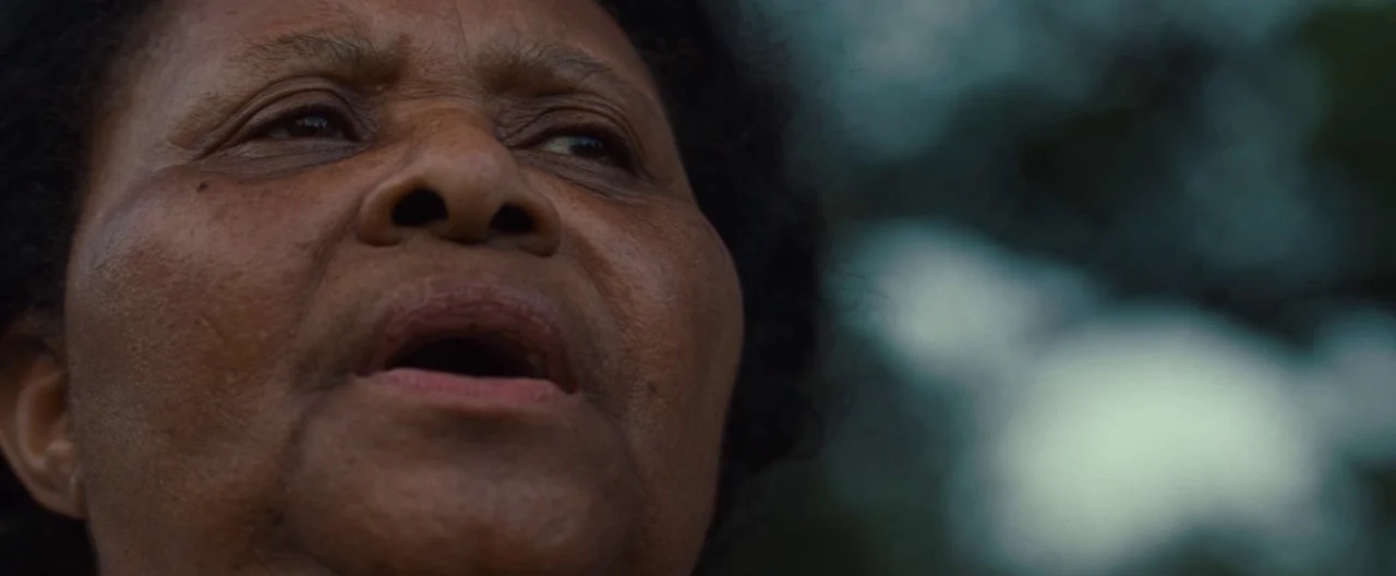 12 Years a Slave (2013) movie still: closeup — An outdoor setting provides a blurred, dark green backdrop with soft foliage highlights. An older…