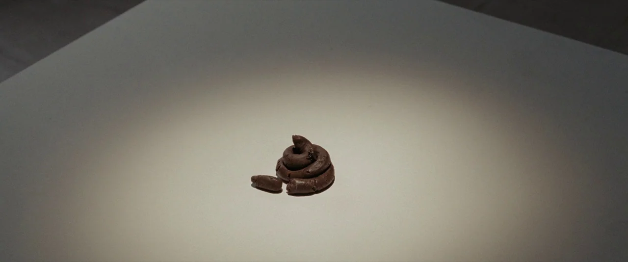 500 Days of Summer (2009) movie still: closeup — A small brown sculpted pile rests in the center of a white, smooth surface. The object is…