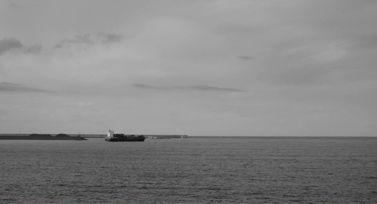 El Planeta (2021) movie still: establishing — A wide view of calm open water under an overcast, cloud-filled sky. A solitary cargo ship travels…
