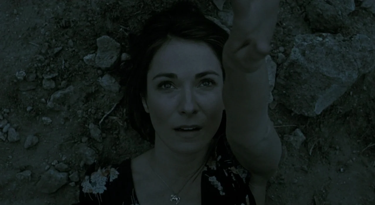 Patagonia (2010) movie still: closeup — A dark rocky surface provides the backdrop for a woman lying prone. She rests on the ground looking toward…