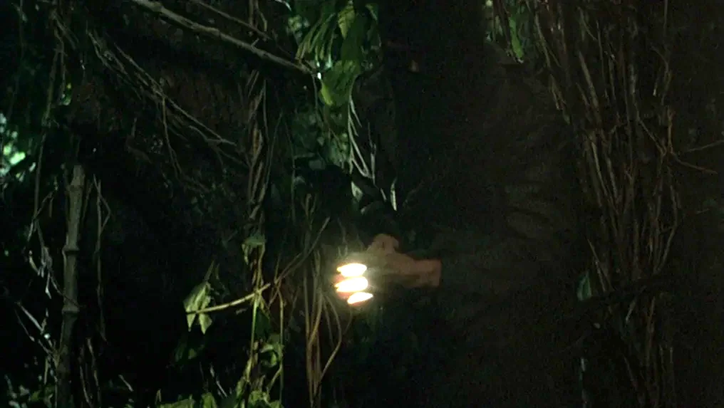 Tropical Malady (2004) movie still: medium — A dense patch of tropical jungle vegetation at night is shrouded in heavy shadow. A person dressed in…