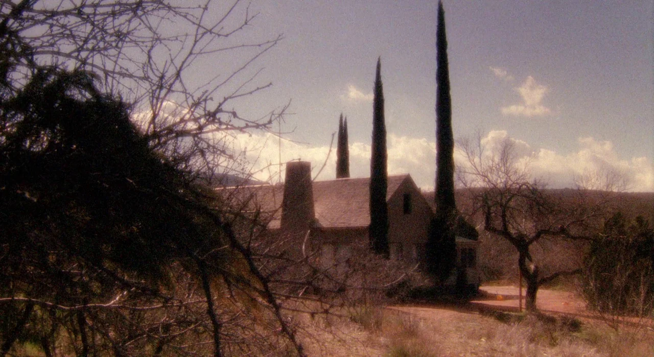 White Of The Eye (1987) movie still: establishing — A rural house with a gabled roof sits behind three tall, thin cypress trees. Bare tree branches…