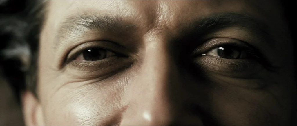 Adam Resurrected (2008) movie still: closeup — An extreme close-up focuses entirely on a man's eyes and brow. The surrounding area is submerged in…