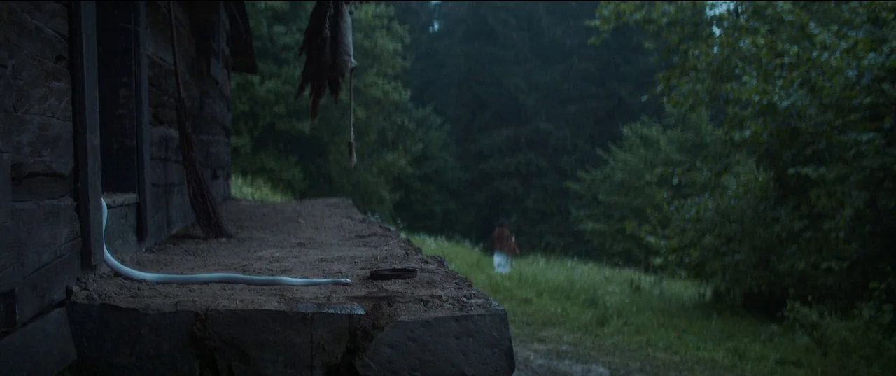 Nightsiren (2022) movie still: wide — A wooden porch leads toward a blurred green field and trees in the distance. A long white snake lies on the…