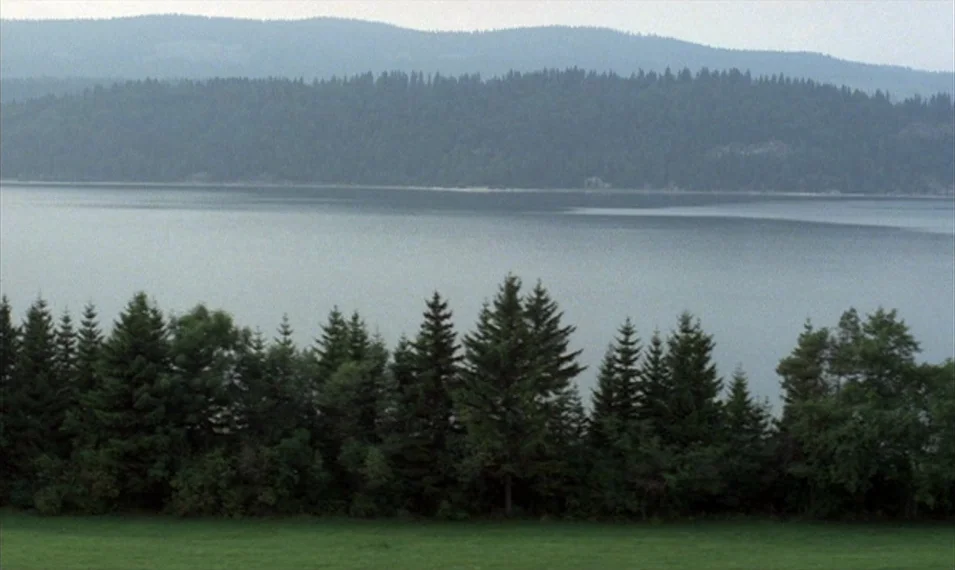 Every Man for Himself (1980) movie still: establishing — A calm lake is surrounded by a dense line of coniferous trees. The far bank consists of…
