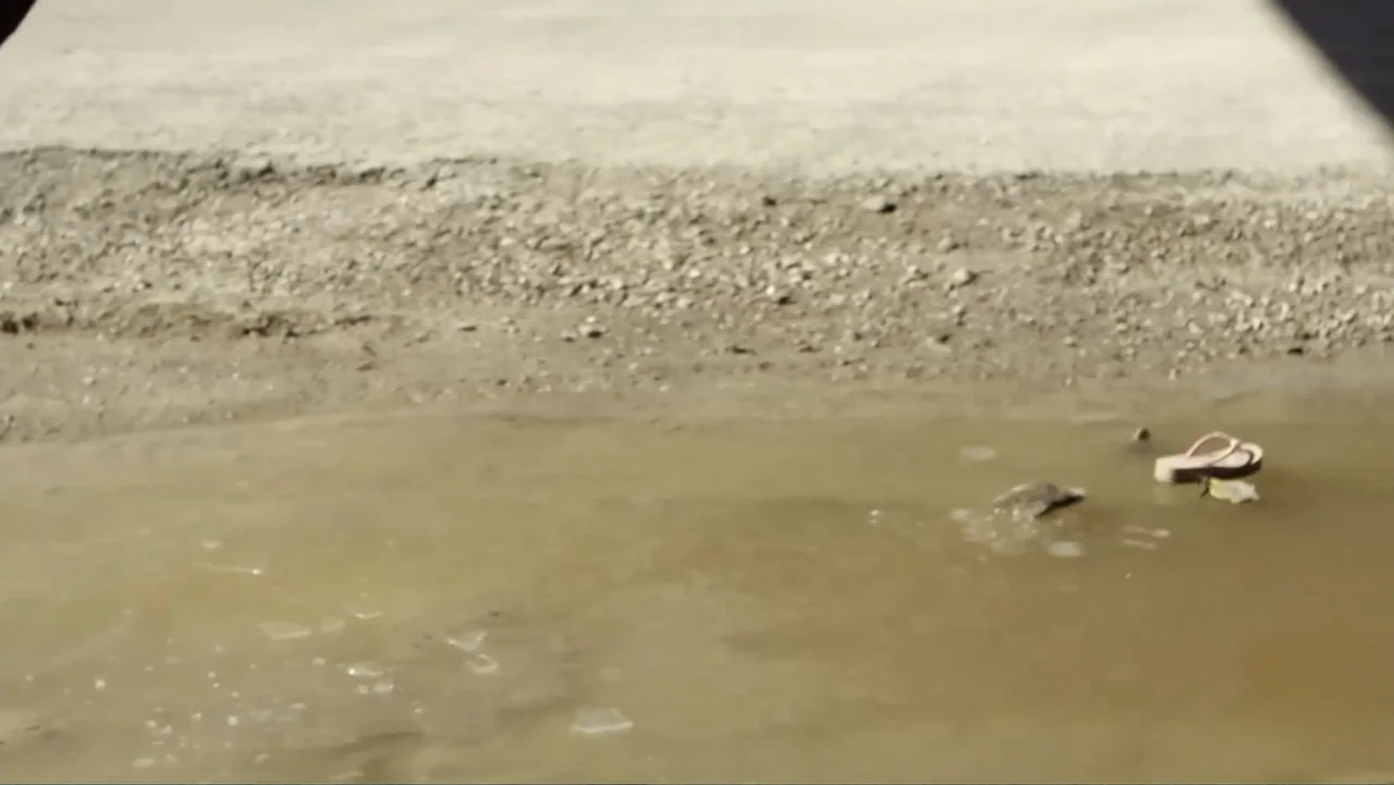 Rich Hill (2014) movie still: wide — A muddy puddle sits on a gravel path near a concrete surface. A single flip-flop floats partially submerged in…
