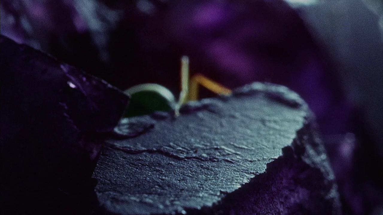 Phase IV (1974) movie still: closeup — A dark, textured stone surface occupies the foreground in low light. A small insect is visible crawling…