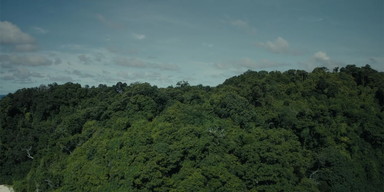 Host (2020) movie still: establishing — A dense green rainforest canopy extends across the frame under a partially cloudy sky. The landscape…