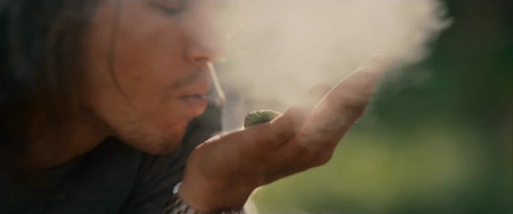 Pineapple Express (2008) movie still: closeup — An outdoor area with blurred green vegetation in the background. A man leans forward to blow a…