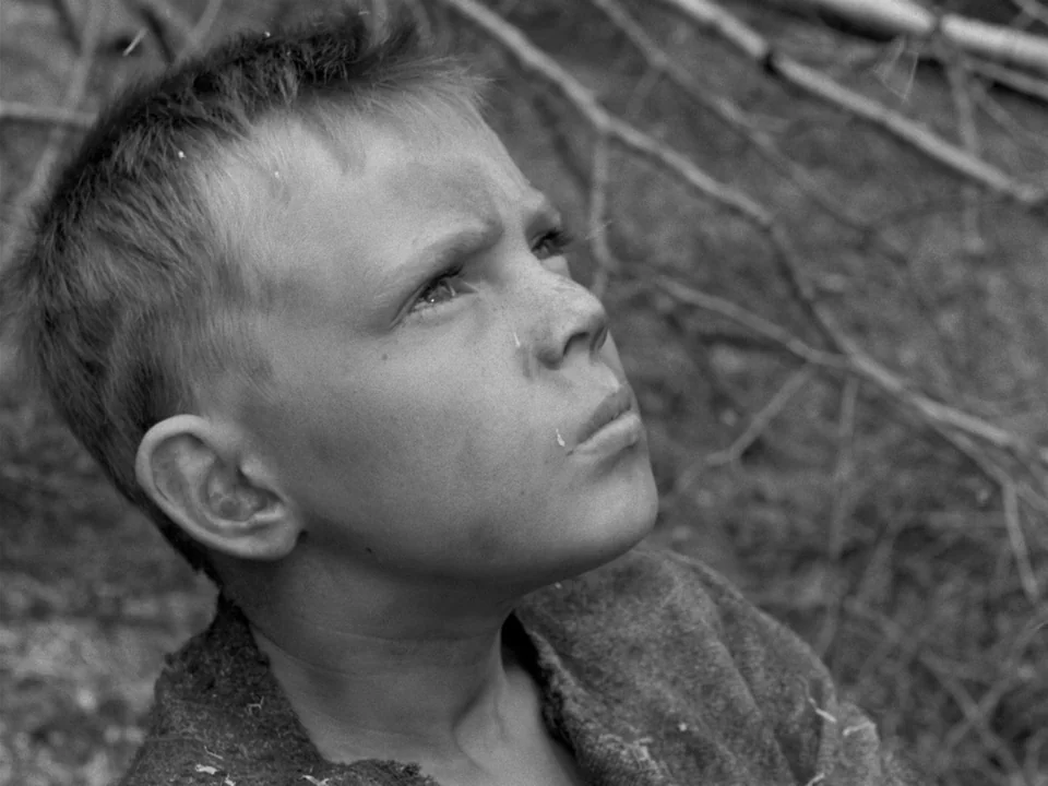 The Virgin Spring (1960) movie still: closeup — A young boy stands in a natural outdoor environment with scattered fallen branches. The child looks…