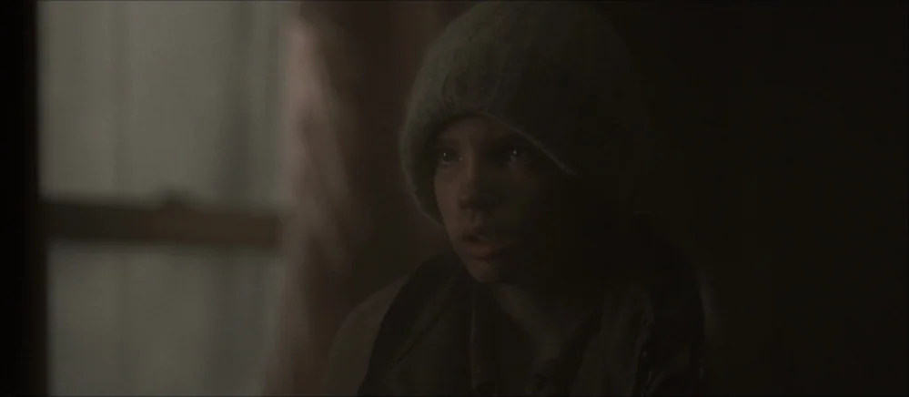 The Road (2009) movie still: closeup — A dimly lit, shadowed room features a window with light filtering through thin curtains. A young boy wearing…