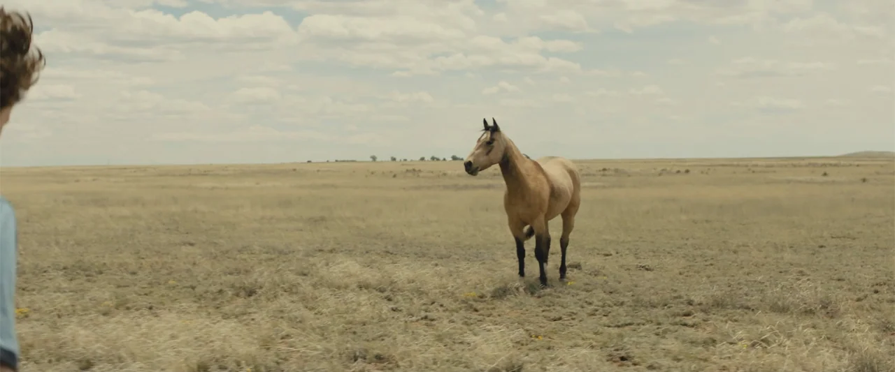 Those Who Wish Me Dead (2021) movie still: wide — A vast, flat prairie stretches toward a distant horizon under a cloudy sky. A light brown horse…