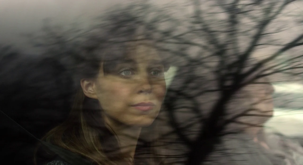 Side Effects (2013) movie still: closeup — A woman sits in the passenger side of a moving vehicle. Reflection of bare tree branches is superimposed…