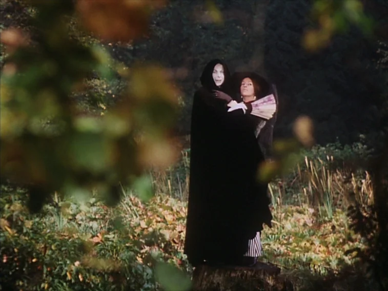 Valerie & Her Week of Wonders (1970) movie still: fullbody — An autumnal meadow features a dense foreground with soft focus foliage. Two figures in…