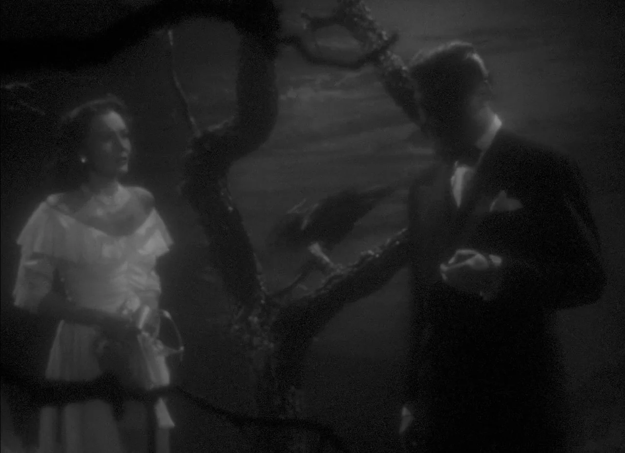 The Amazing Mr. X (1948) movie still: medium — A dark, silhouetted woodland clearing at night features a tree with twisted, leafless branches. A…