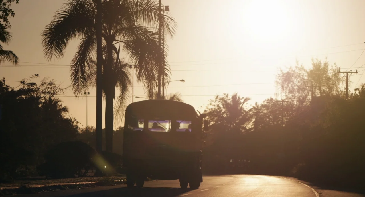 The Day Shall Come (2019) movie still: wide — An empty road is flanked by palm trees under a bright setting sun. A dark bus drives away from the…