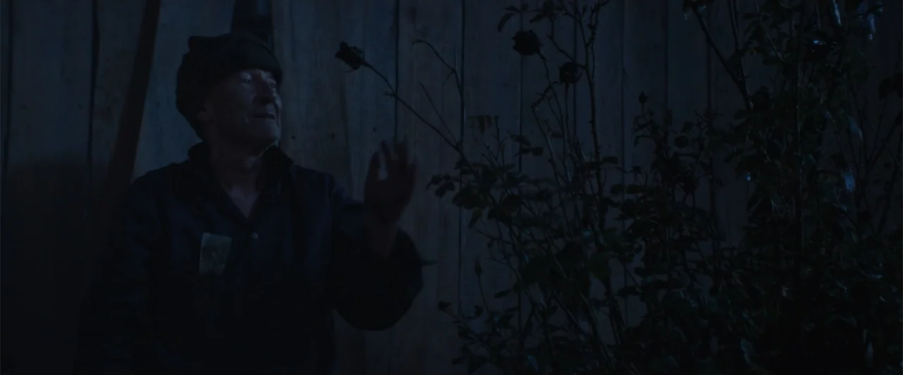 My Neighbor Adolf (2022) movie still: medium — A person stands outdoors at night next to a large rose bush in bloom. The man reaches out with his…