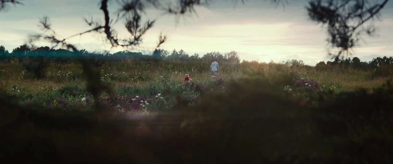 Christopher Robin (2018) movie still: wide — An expansive meadow filled with wild grass and purple flowers under an overcast sky. A young boy walks…