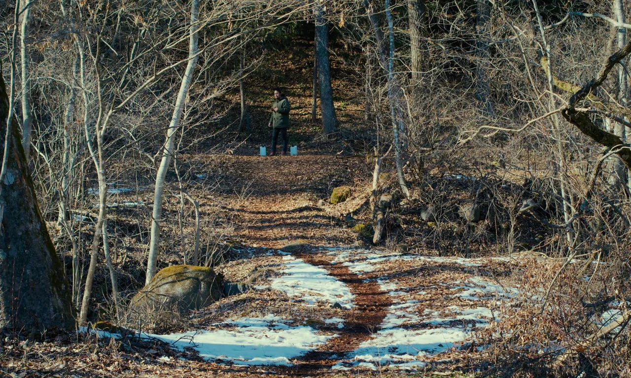 Evil Does Not Exist (2023) movie still: wide — A leaf-strewn woodland trail winds through a forest of bare trees with patches of snow. A man stands…