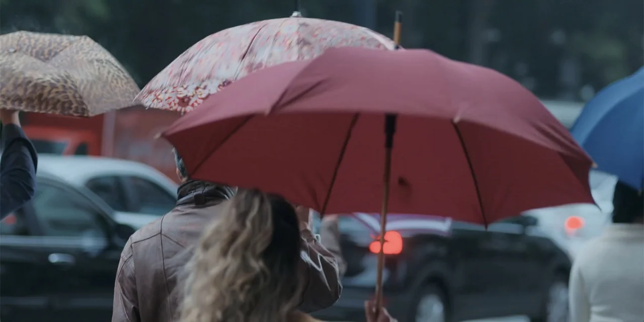 An Unforgettable Year - Autumn (2023) movie still: medium — People walk under umbrellas on a paved city sidewalk during a rainy day. Rain falls as…