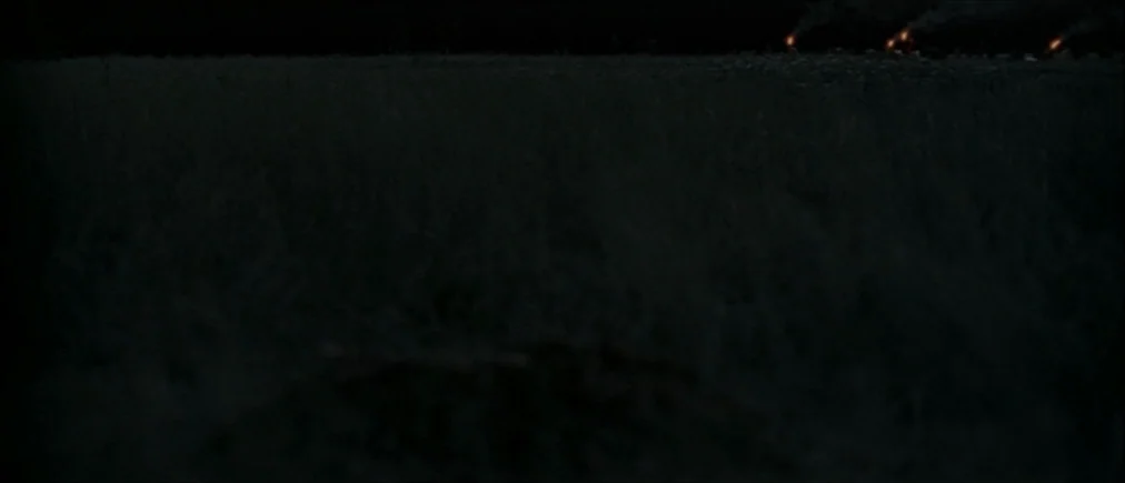 Time Of The Wolf (2003) movie still: establishing — A dark, expansive field at night stretches toward a distant horizon line. Three small, dim…